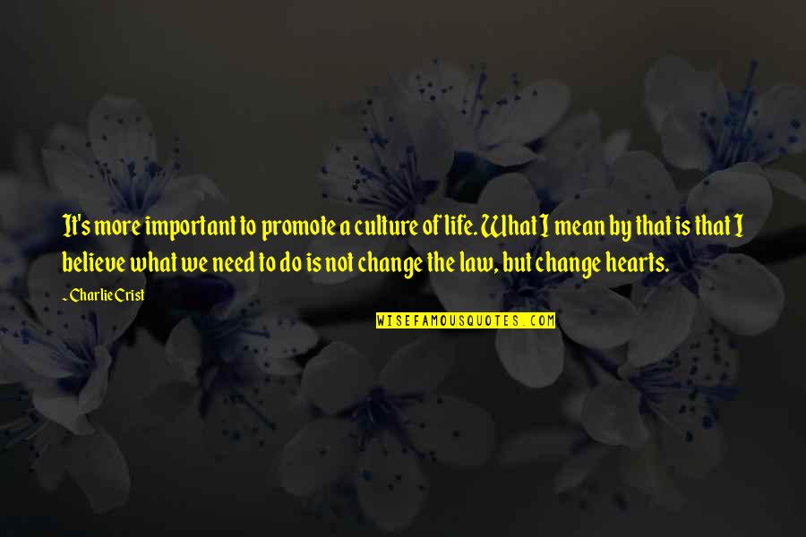 Promote Life Quotes By Charlie Crist: It's more important to promote a culture of