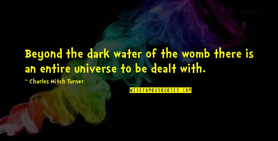 Promote Love Not Hate Quotes By Charles Mitch Turner: Beyond the dark water of the womb there