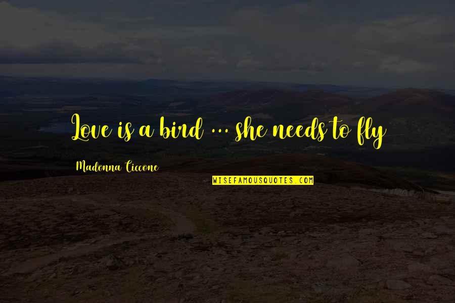 Promote Reading Quotes By Madonna Ciccone: Love is a bird ... she needs to Promote Reading Quotes By Madonna Ciccone: Love is a bird ... she needs to