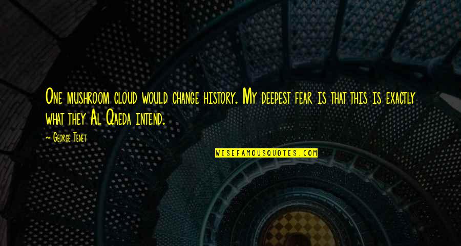 Promotes Aggressively Quotes By George Tenet: One mushroom cloud would change history. My deepest