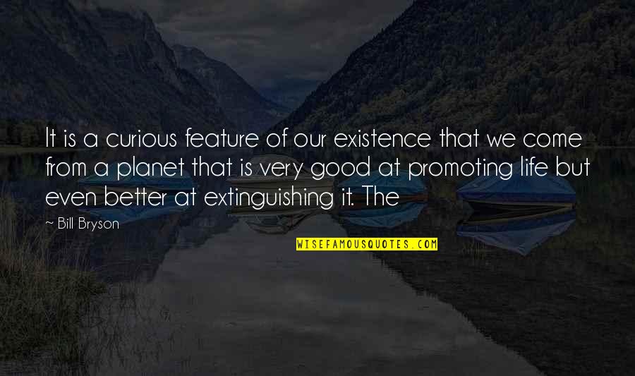 Promoting Life Quotes By Bill Bryson: It is a curious feature of our existence