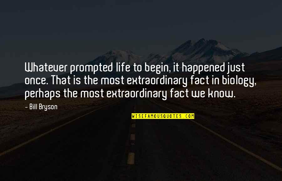 Prompted Quotes By Bill Bryson: Whatever prompted life to begin, it happened just