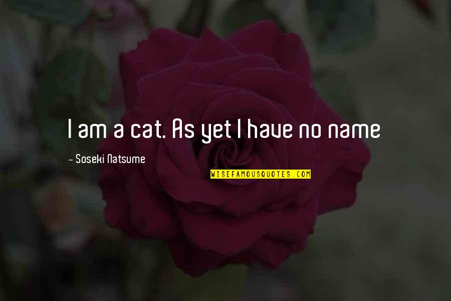 Promulgations Quotes By Soseki Natsume: I am a cat. As yet I have