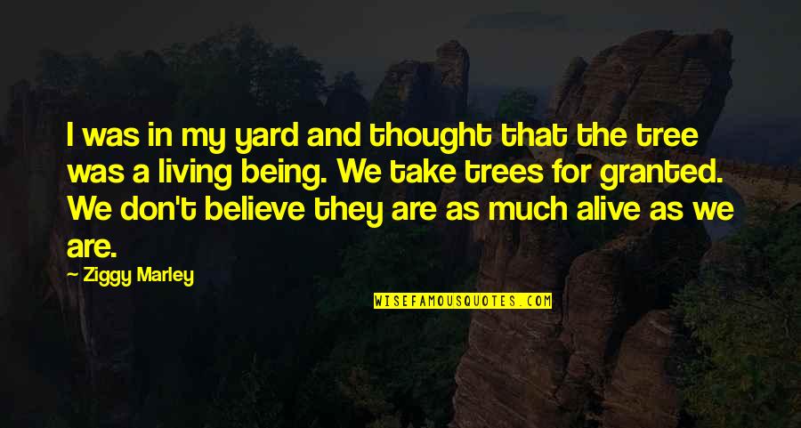 Proof Quote Quotes By Ziggy Marley: I was in my yard and thought that Proof Quote Quotes By Ziggy Marley: I was in my yard and thought that