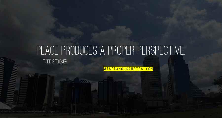 Proper Perspective Quotes By Todd Stocker: Peace produces a proper perspective.