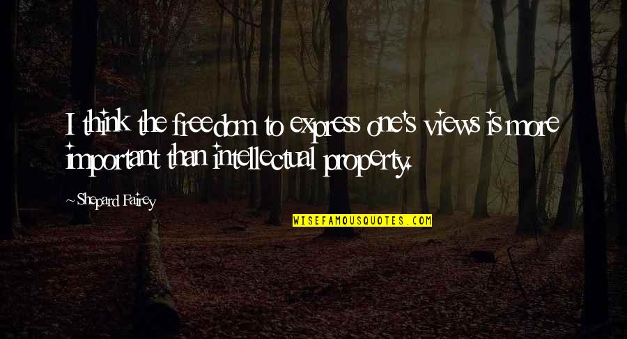 Property's Quotes By Shepard Fairey: I think the freedom to express one's views