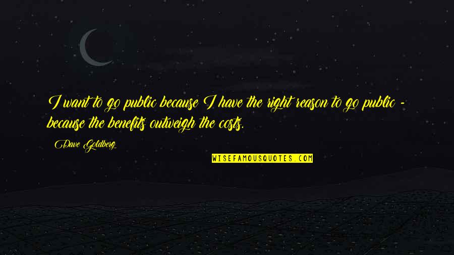 Prophet Muhammad Quotes Quotes By Dave Goldberg: I want to go public because I have
