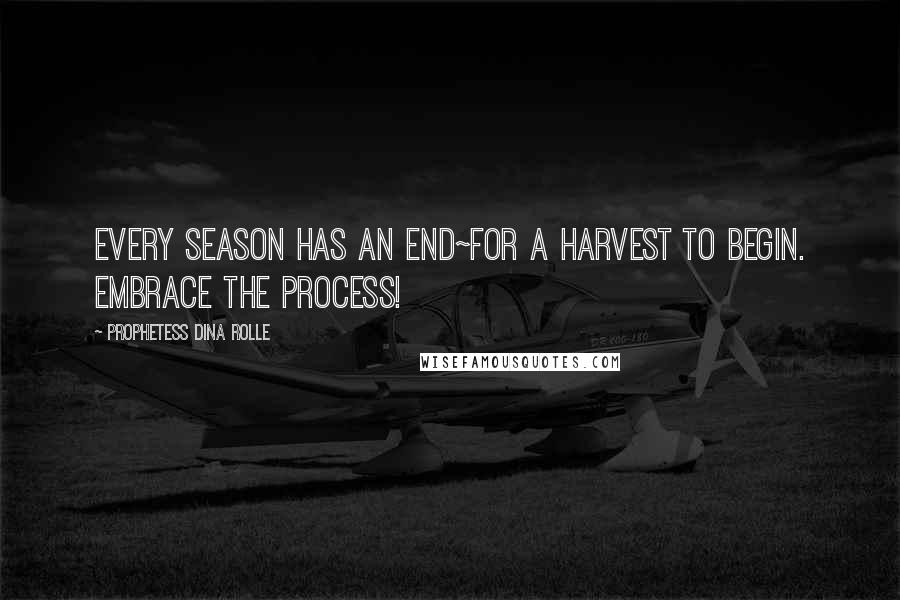 Prophetess Dina Rolle quotes: Every season has an end~for a harvest to begin. Embrace the process!