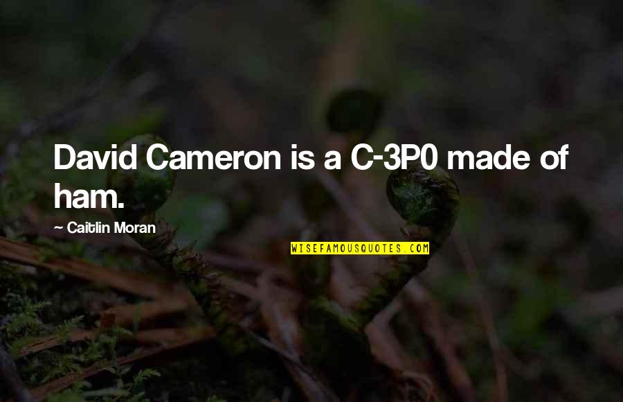 Propitiation Synonym Quotes By Caitlin Moran: David Cameron is a C-3P0 made of ham.
