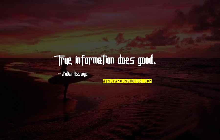 Propitiation Synonym Quotes By Julian Assange: True information does good.
