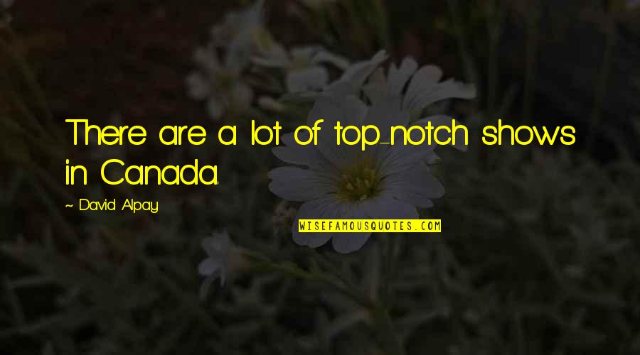 Proporsi Wanita Quotes By David Alpay: There are a lot of top-notch shows in Proporsi Wanita Quotes By David Alpay: There are a lot of top-notch shows in