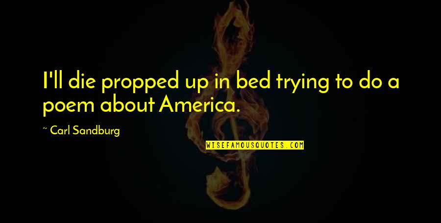 Propped Quotes By Carl Sandburg: I'll die propped up in bed trying to