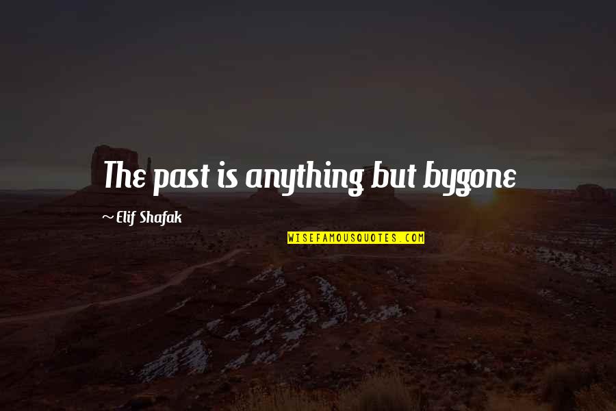 Proprietorships Apush Quotes By Elif Shafak: The past is anything but bygone