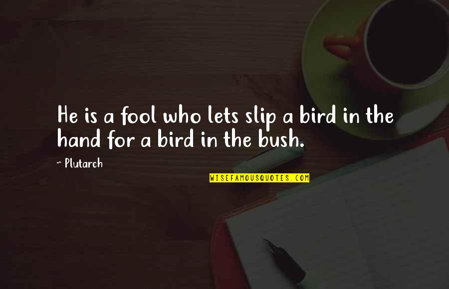 Prosegur Recrutamento Quotes By Plutarch: He is a fool who lets slip a