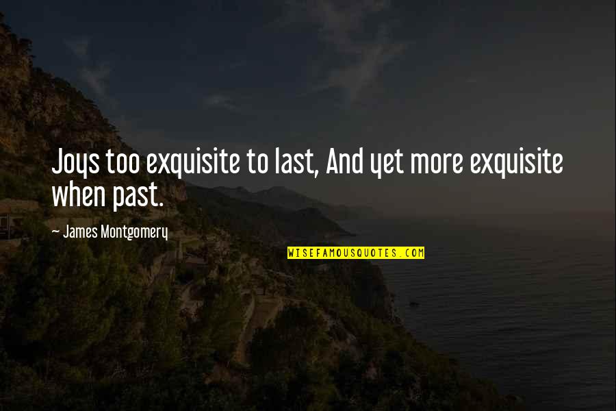 Proselytism In Islam Quotes By James Montgomery: Joys too exquisite to last, And yet more Proselytism In Islam Quotes By James Montgomery: Joys too exquisite to last, And yet more