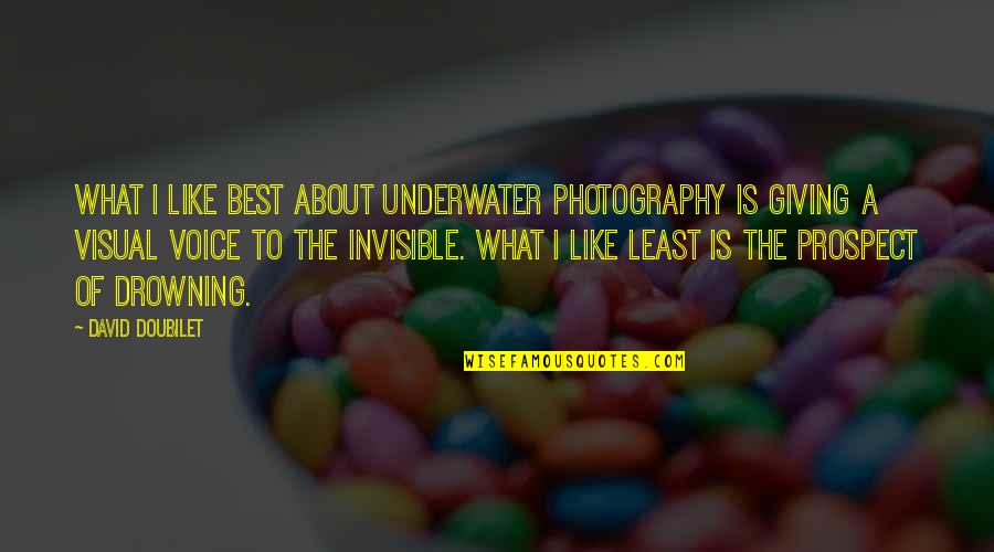 Prospect To Quotes By David Doubilet: What I like best about underwater photography is