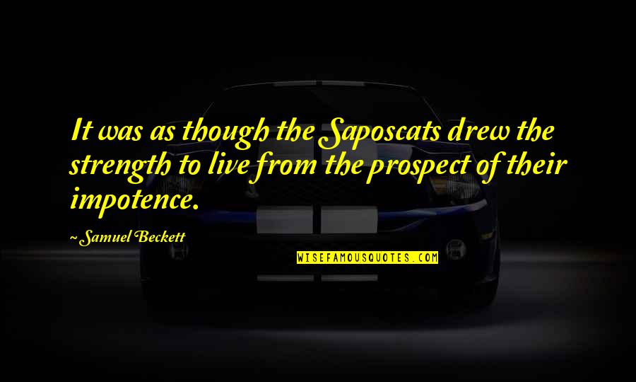 Prospect To Quotes By Samuel Beckett: It was as though the Saposcats drew the