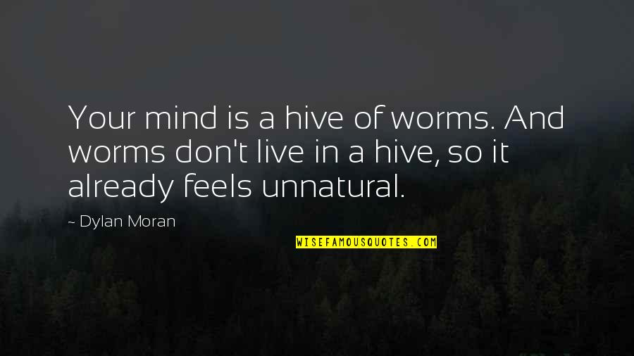 Prospecting Quotes By Dylan Moran: Your mind is a hive of worms. And