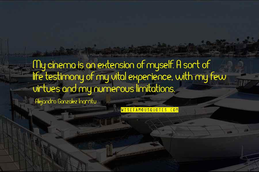 Prospering In Life Quotes By Alejandro Gonzalez Inarritu: My cinema is an extension of myself. A