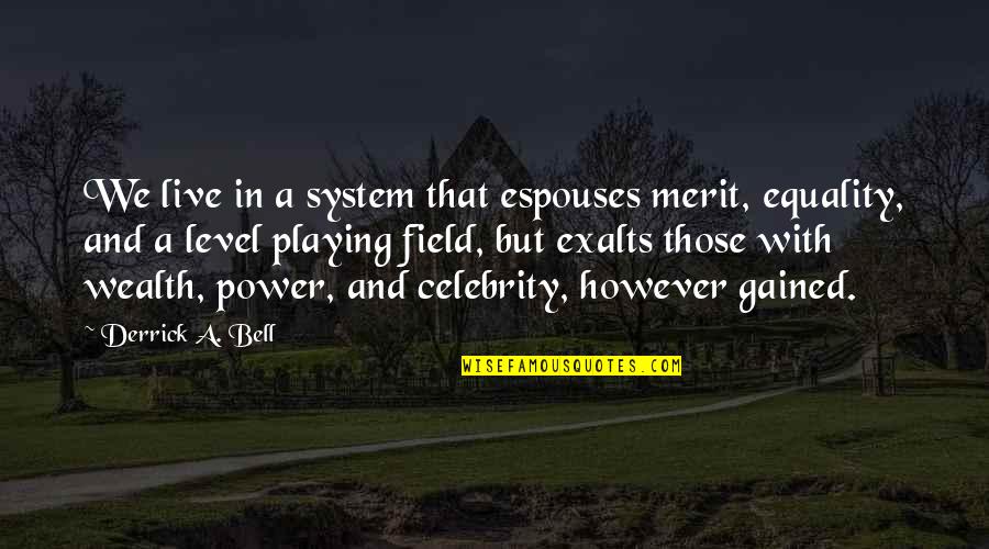 Prosperity And Success Quotes By Derrick A. Bell: We live in a system that espouses merit, Prosperity And Success Quotes By Derrick A. Bell: We live in a system that espouses merit,