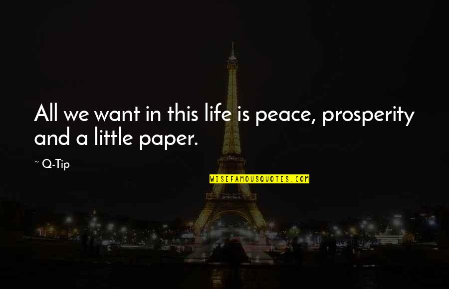 Prosperity In Life Quotes By Q-Tip: All we want in this life is peace,