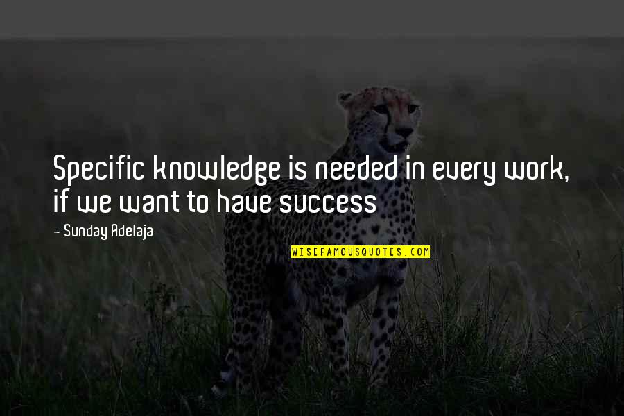Prosperity In Life Quotes By Sunday Adelaja: Specific knowledge is needed in every work, if