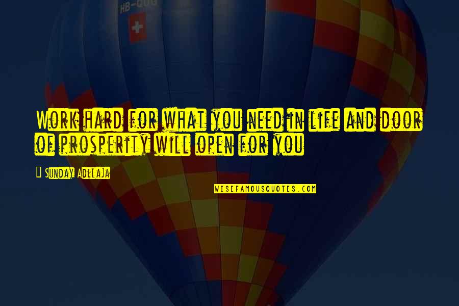 Prosperity In Life Quotes By Sunday Adelaja: Work hard for what you need in life