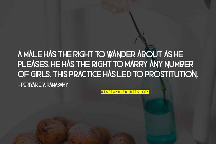 Prostitution Quotes By Periyar E.V. Ramasamy: A male has the right to wander about