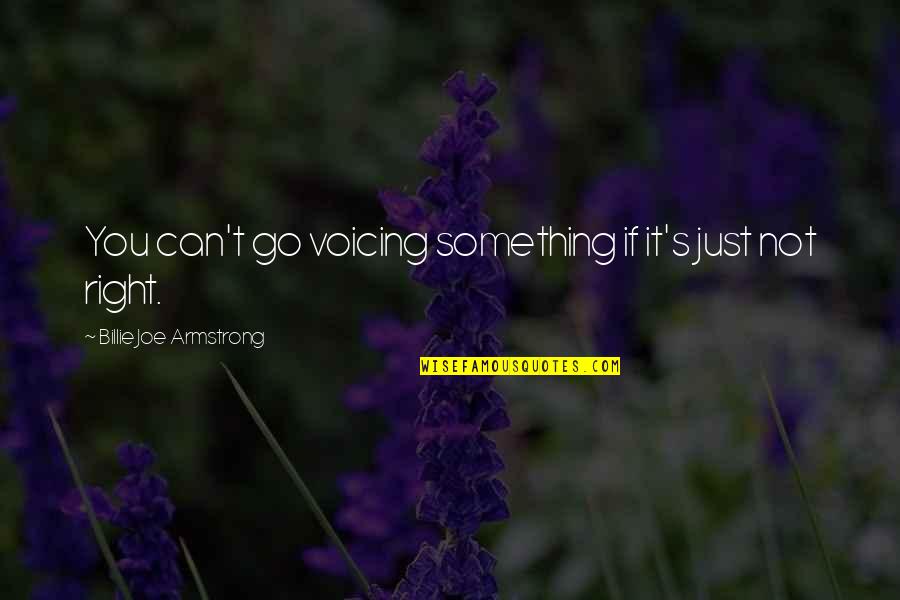 Protasova Quotes By Billie Joe Armstrong: You can't go voicing something if it's just Protasova Quotes By Billie Joe Armstrong: You can't go voicing something if it's just