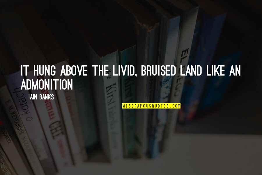 Proteasa En Quotes By Iain Banks: It hung above the livid, bruised land like