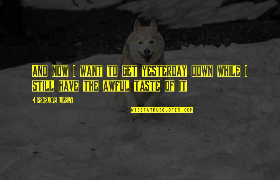 Protect My Child Quotes By Penelope Lively: And now I want to get yesterday down