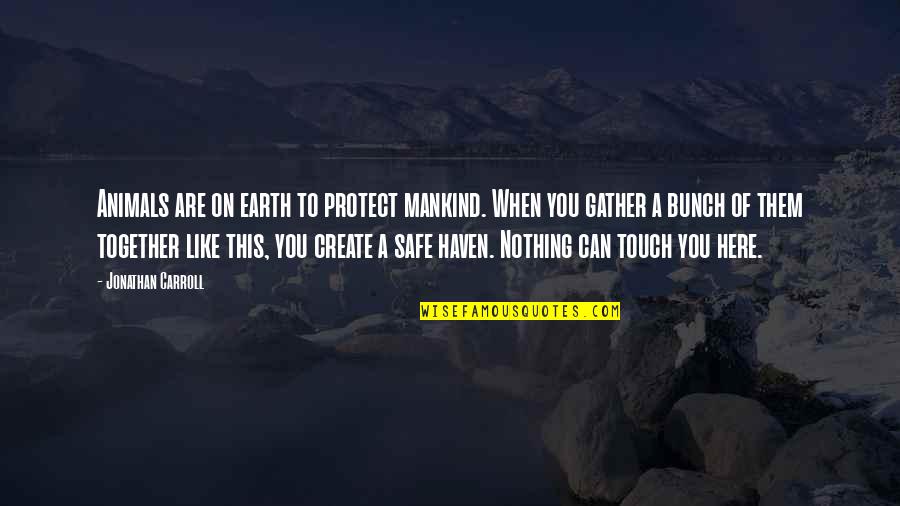 Protect The Animals Quotes By Jonathan Carroll: Animals are on earth to protect mankind. When