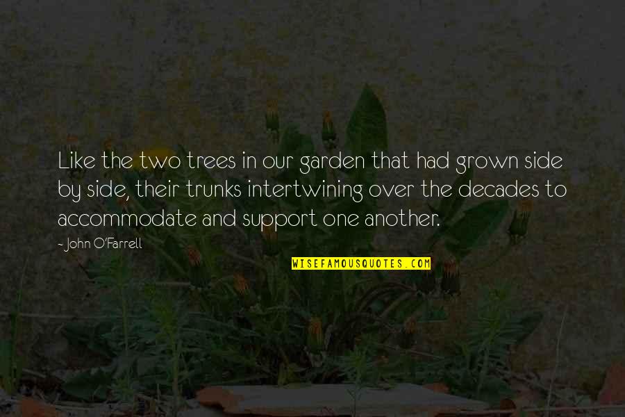 Protecting Investments Quotes By John O'Farrell: Like the two trees in our garden that Protecting Investments Quotes By John O'Farrell: Like the two trees in our garden that
