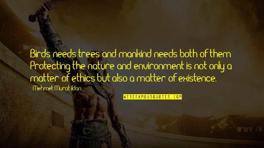 Protecting Nature Quotes By Mehmet Murat Ildan: Birds needs trees and mankind needs both of