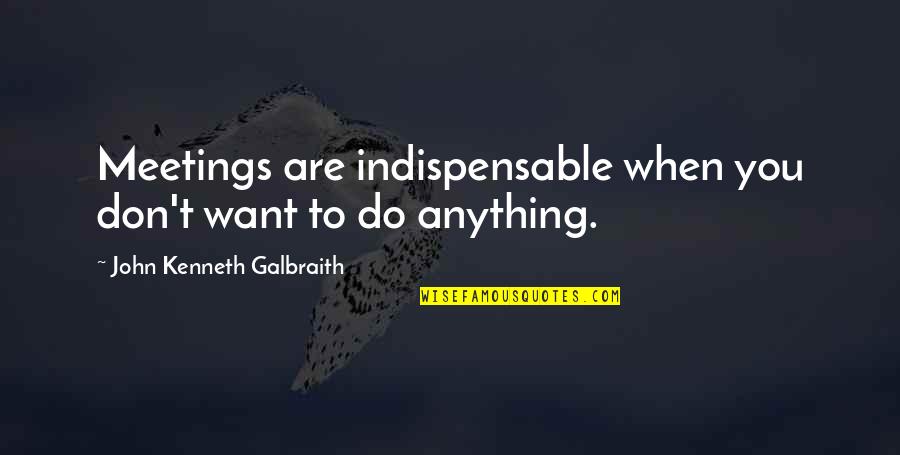 Protecting The Earth Quotes By John Kenneth Galbraith: Meetings are indispensable when you don't want to Protecting The Earth Quotes By John Kenneth Galbraith: Meetings are indispensable when you don't want to