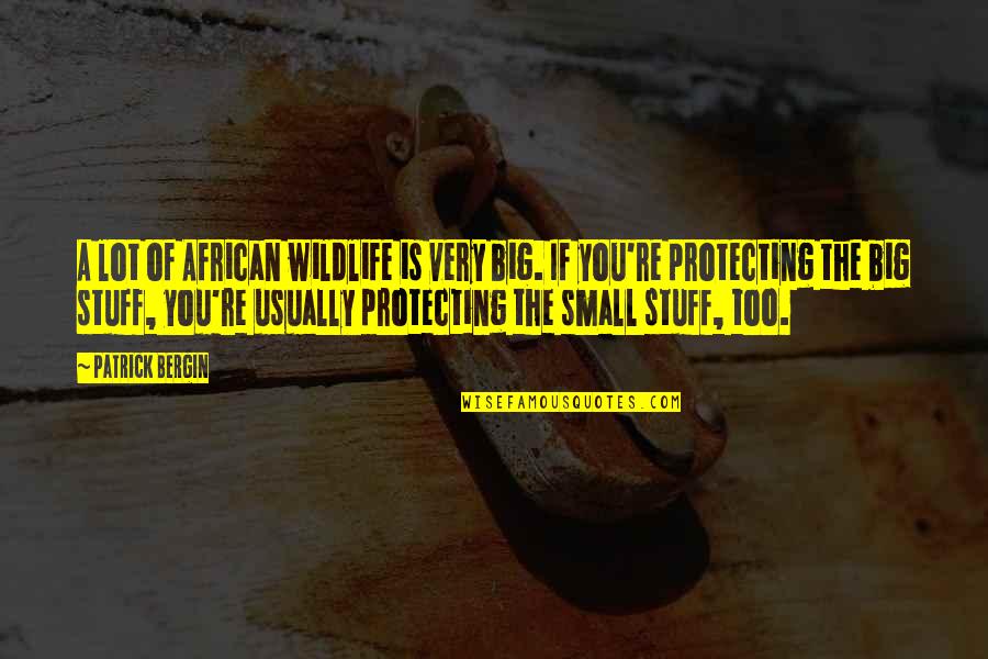 Protecting You Quotes By Patrick Bergin: A lot of African wildlife is very big. Protecting You Quotes By Patrick Bergin: A lot of African wildlife is very big.