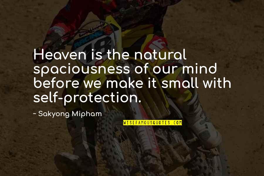 Protection Inspirational Quotes By Sakyong Mipham: Heaven is the natural spaciousness of our mind