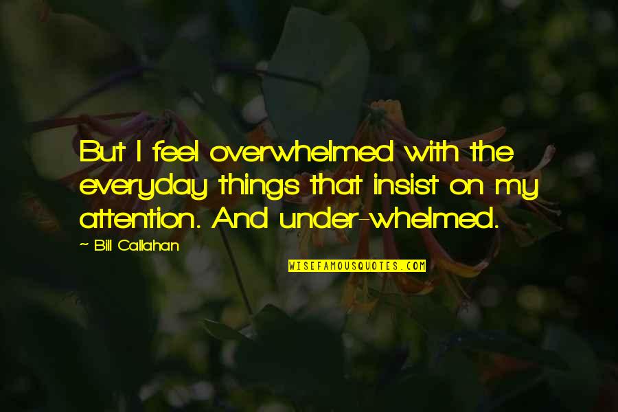 Protection Order Quotes By Bill Callahan: But I feel overwhelmed with the everyday things Protection Order Quotes By Bill Callahan: But I feel overwhelmed with the everyday things