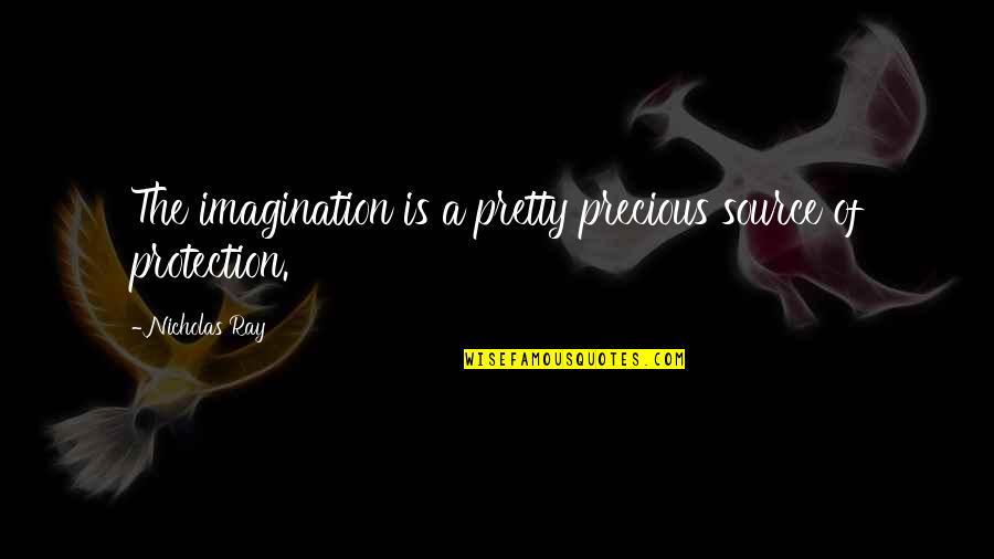 Protection Quotes By Nicholas Ray: The imagination is a pretty precious source of