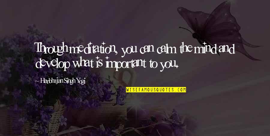 Protectionism Examples Quotes By Harbhajan Singh Yogi: Through meditation, you can calm the mind and Protectionism Examples Quotes By Harbhajan Singh Yogi: Through meditation, you can calm the mind and