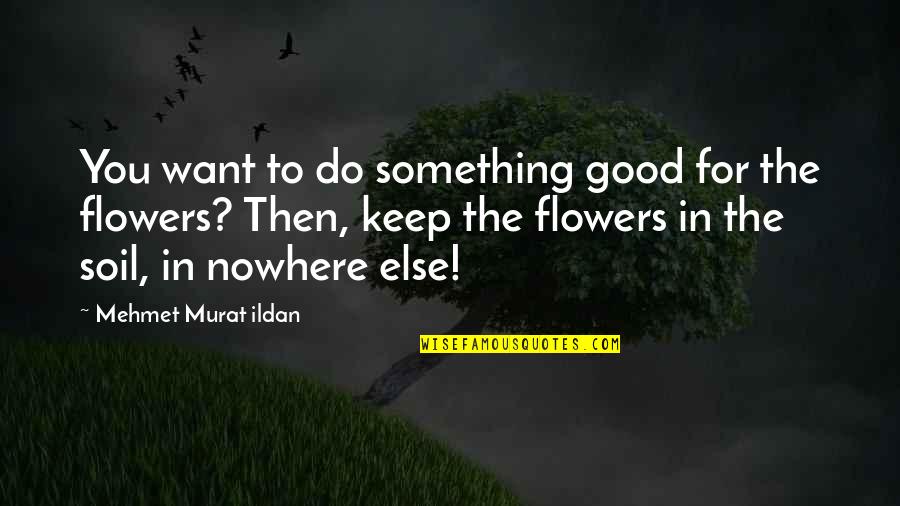 Protective Siblings Quotes By Mehmet Murat Ildan: You want to do something good for the