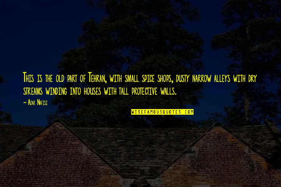 Protective Walls Quotes By Azar Nafisi: This is the old part of Tehran, with Protective Walls Quotes By Azar Nafisi: This is the old part of Tehran, with