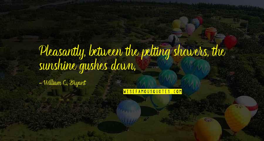 Protestant Work Ethic Quotes By William C. Bryant: Pleasantly, between the pelting showers, the sunshine gushes Protestant Work Ethic Quotes By William C. Bryant: Pleasantly, between the pelting showers, the sunshine gushes