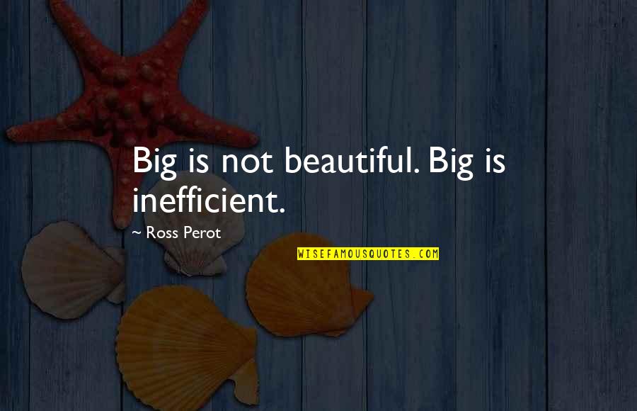 Protezione Sussidiaria Quotes By Ross Perot: Big is not beautiful. Big is inefficient.