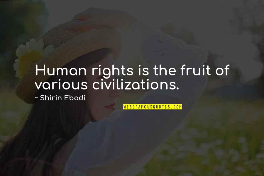 Protoplasmic Droplet Quotes By Shirin Ebadi: Human rights is the fruit of various civilizations. Protoplasmic Droplet Quotes By Shirin Ebadi: Human rights is the fruit of various civilizations.