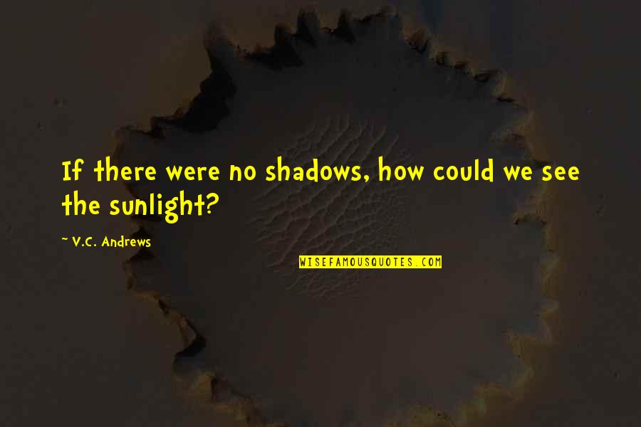 Protostome Or Deuterostome Quotes By V.C. Andrews: If there were no shadows, how could we Protostome Or Deuterostome Quotes By V.C. Andrews: If there were no shadows, how could we