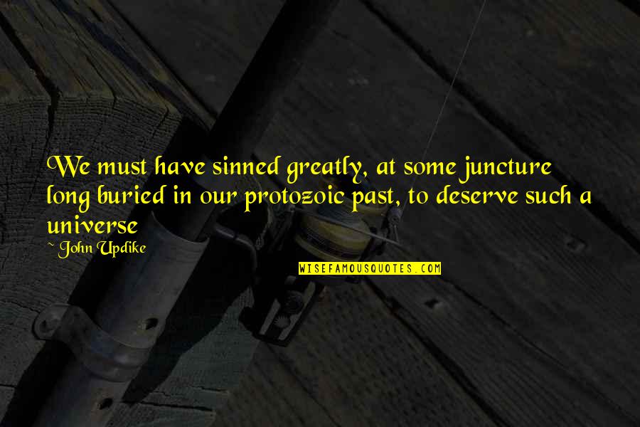 Protozoic Quotes By John Updike: We must have sinned greatly, at some juncture