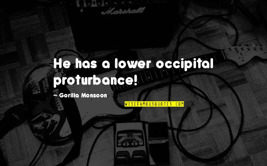 Proturbance Quotes By Gorilla Monsoon: He has a lower occipital proturbance!