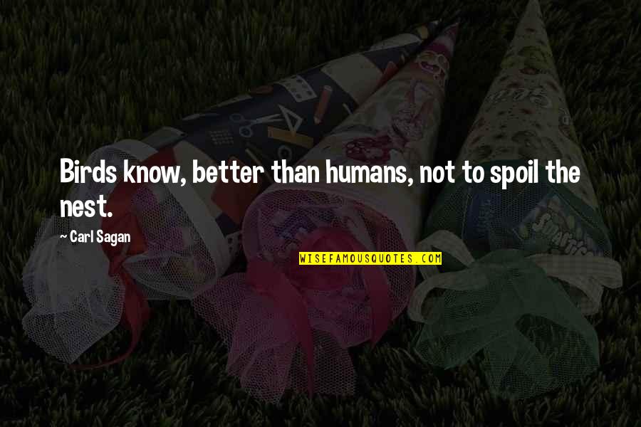 Proud Afghan Quotes By Carl Sagan: Birds know, better than humans, not to spoil
