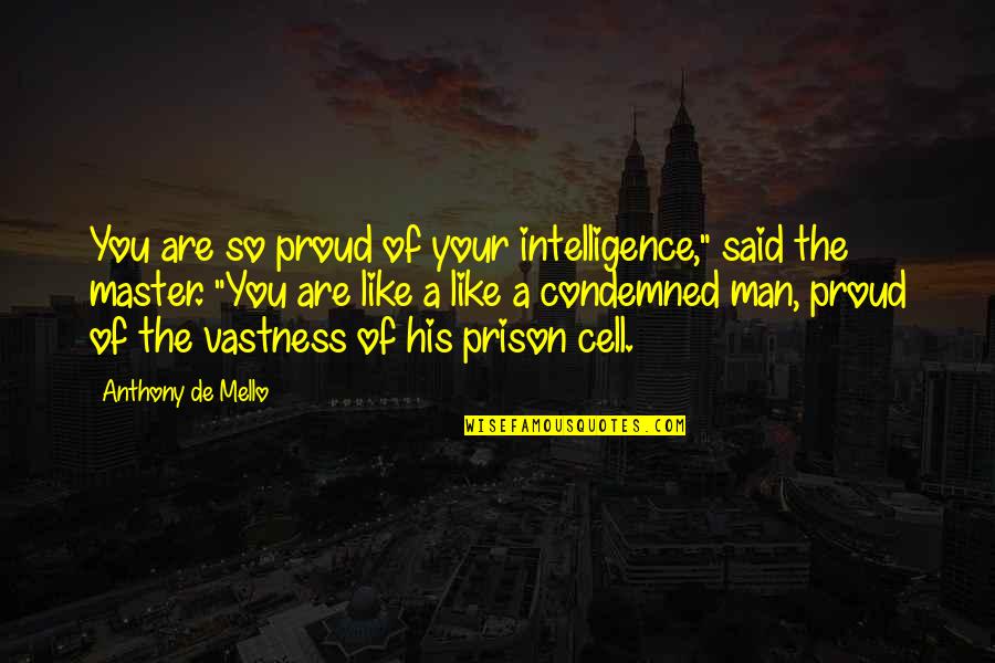 Proud Man Quotes By Anthony De Mello: You are so proud of your intelligence," said